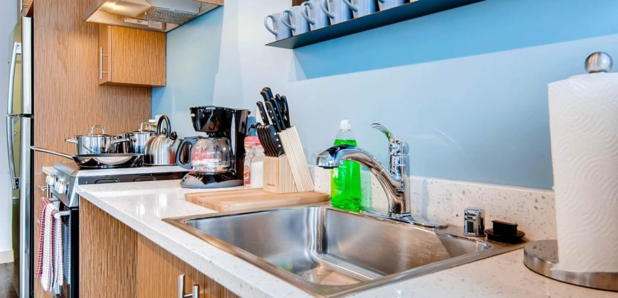 2 bedroom high end apartment in downtown Seattle