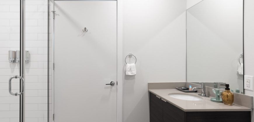 2 bedroom high end condo in Austin