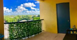 3 bedroom penthouse in Houston