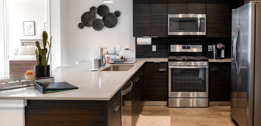 2 bedroom high end condo in Austin