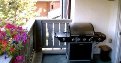 2 bedroom Luxury Condo in Vail