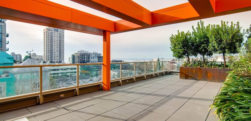 2 bedroom high end apartment in downtown Seattle