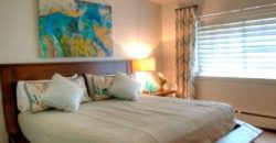 2 bedroom Luxury Condo in Vail