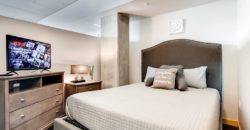 2 bedroom high end apartment in downtown Seattle