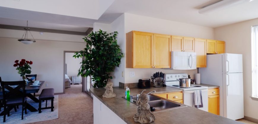 3 bedroom penthouse in Houston