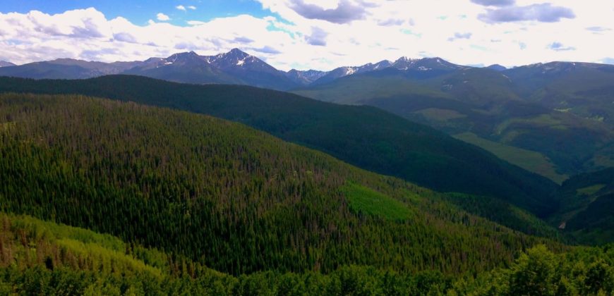 2 bedroom Luxury Condo in Vail